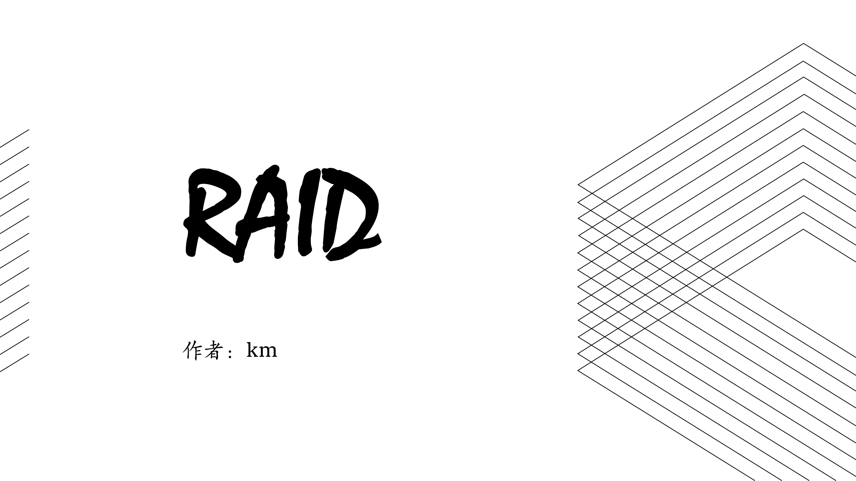 RAID第 1 页